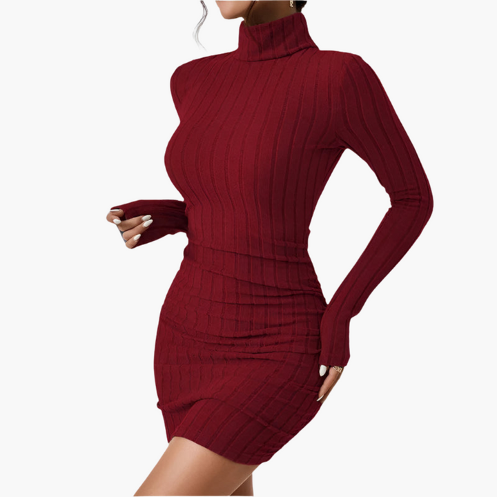 Women’s Turtleneck Dress with Ribbed Texture and Long Sleeves